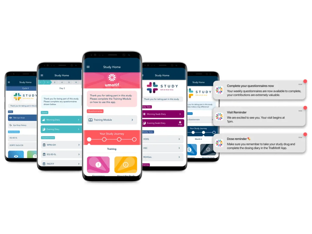 Notifications and Dashboard